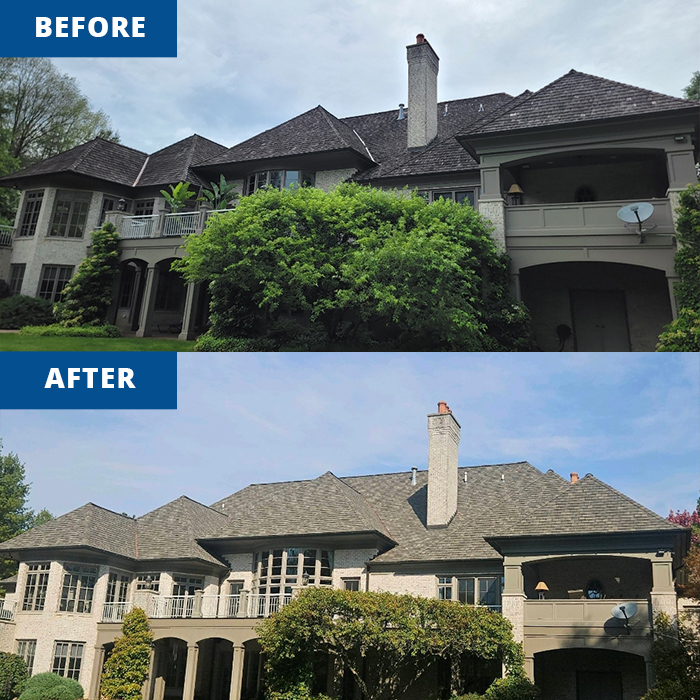 roof transformation in michigan