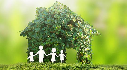 green roofing services in michigan