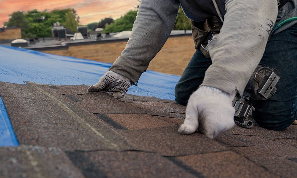 West Michigan Roof Washing Services