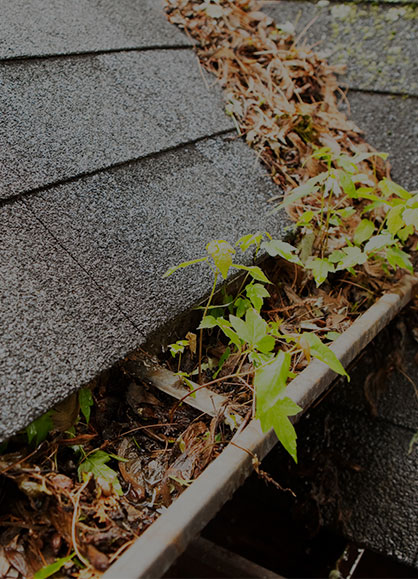 Grand Rapids debris buildup emergency roof repair