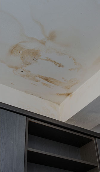 inspecting ceiling damage in grand rapids