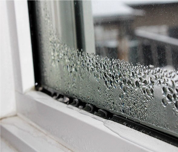 Window damage from ice dam